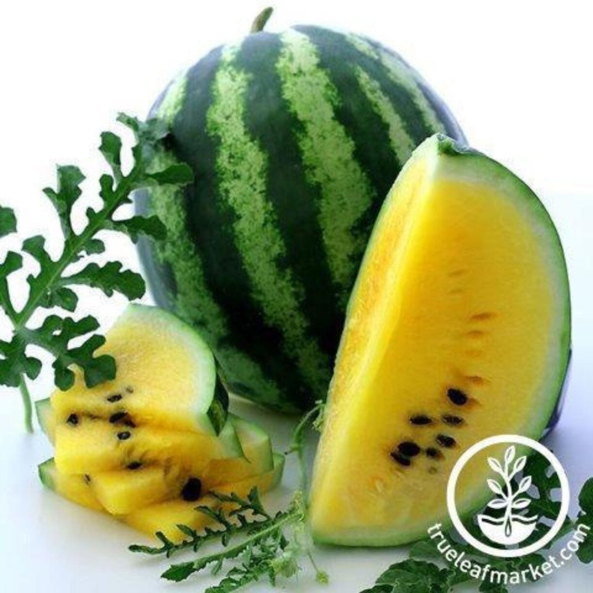 Yellow Petite Watermelon