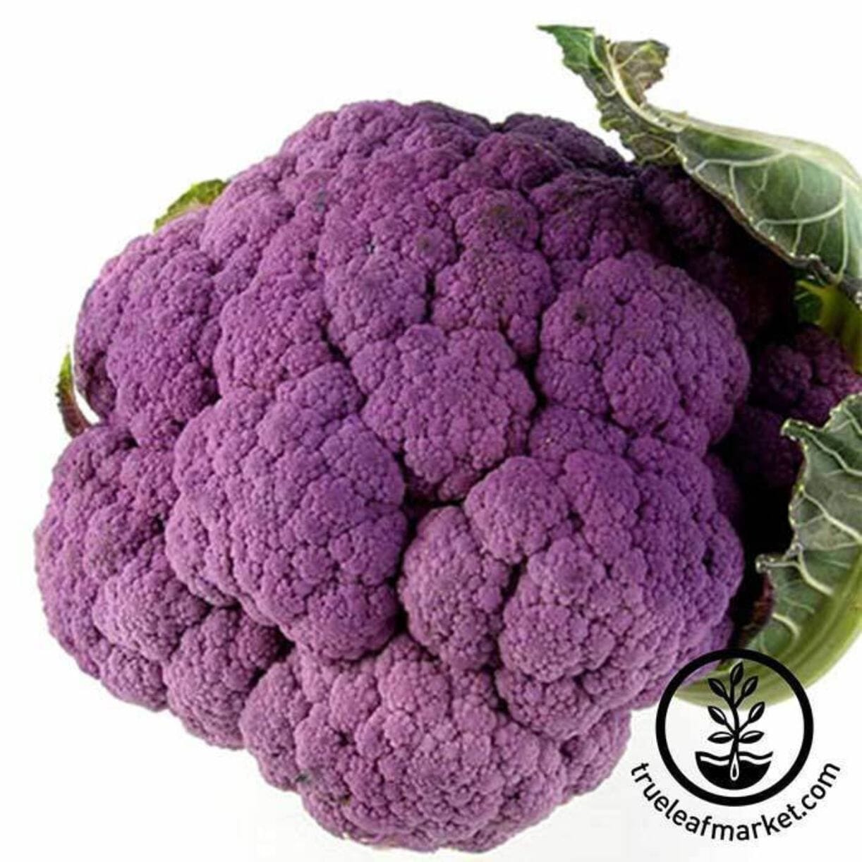 Graffiti Cauliflower