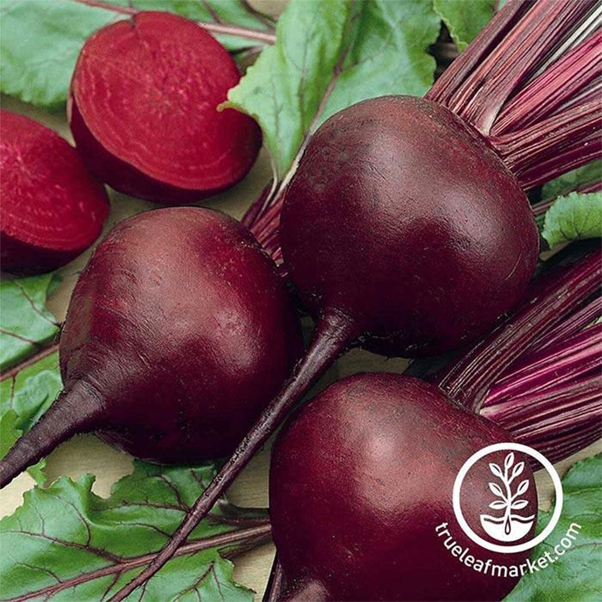 Detroit Dark Red Beet