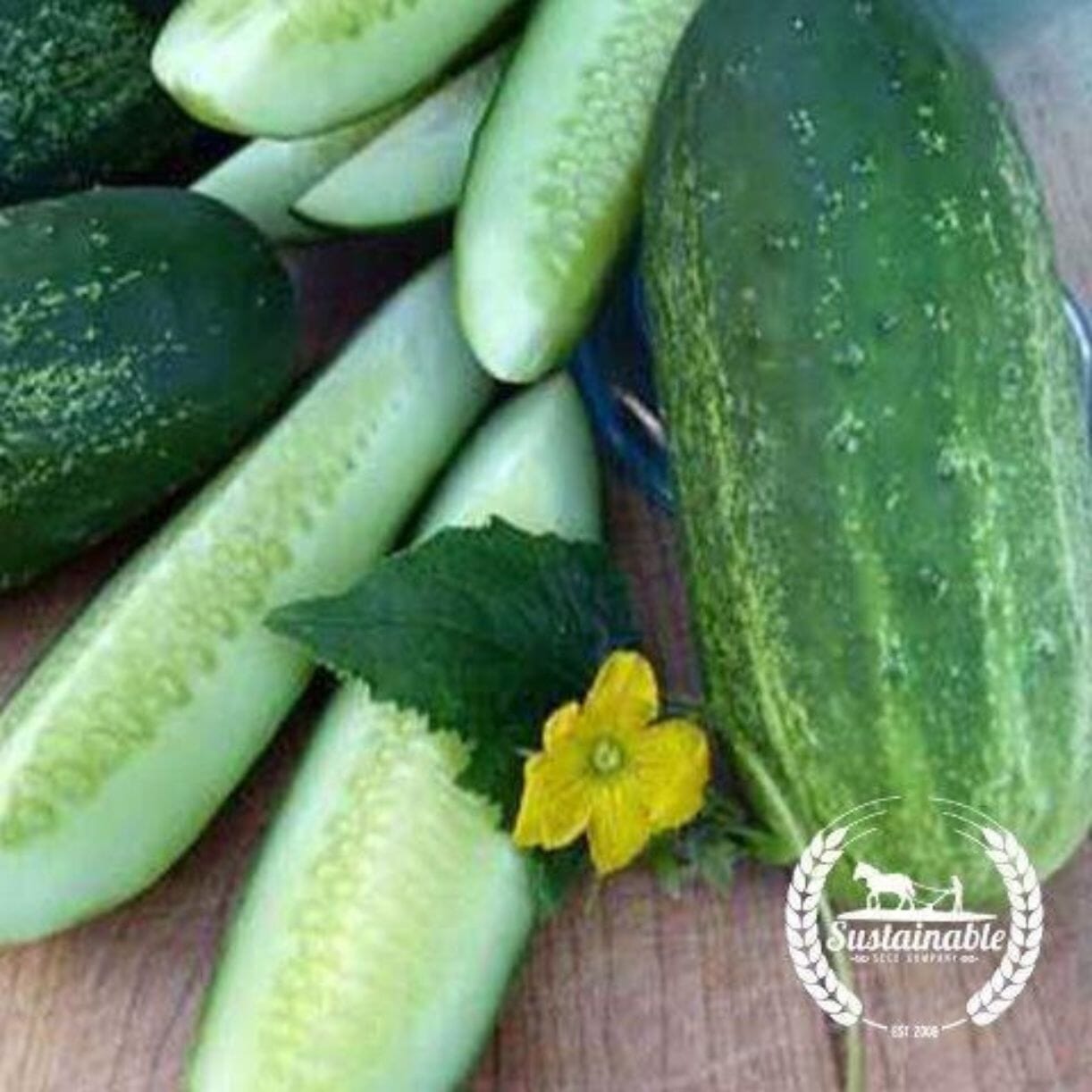 Homemade Pickles Cucumber