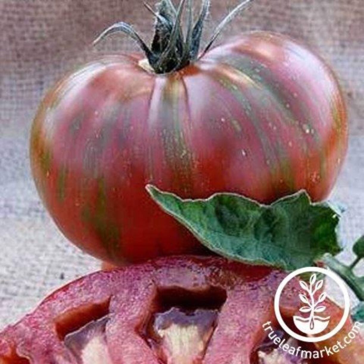 Vintage Wine Tomato