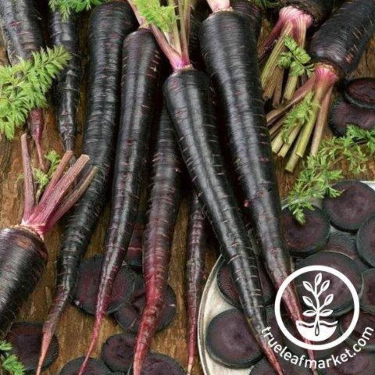 Black Nebula Carrot