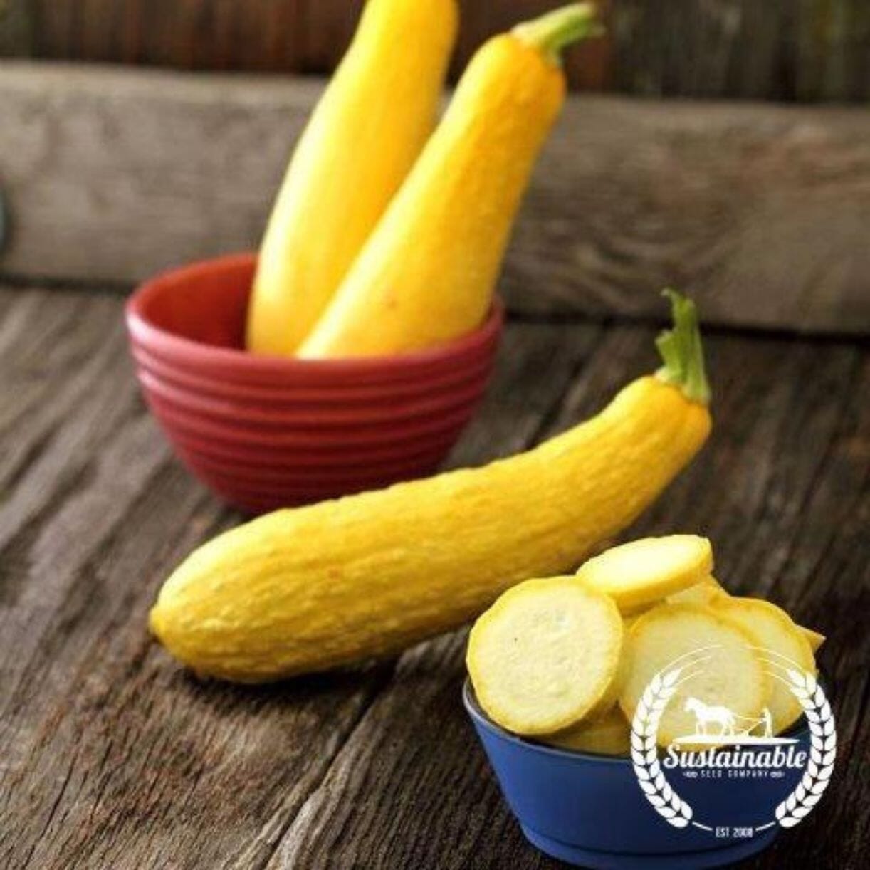 Early Prolific Straightneck Squash