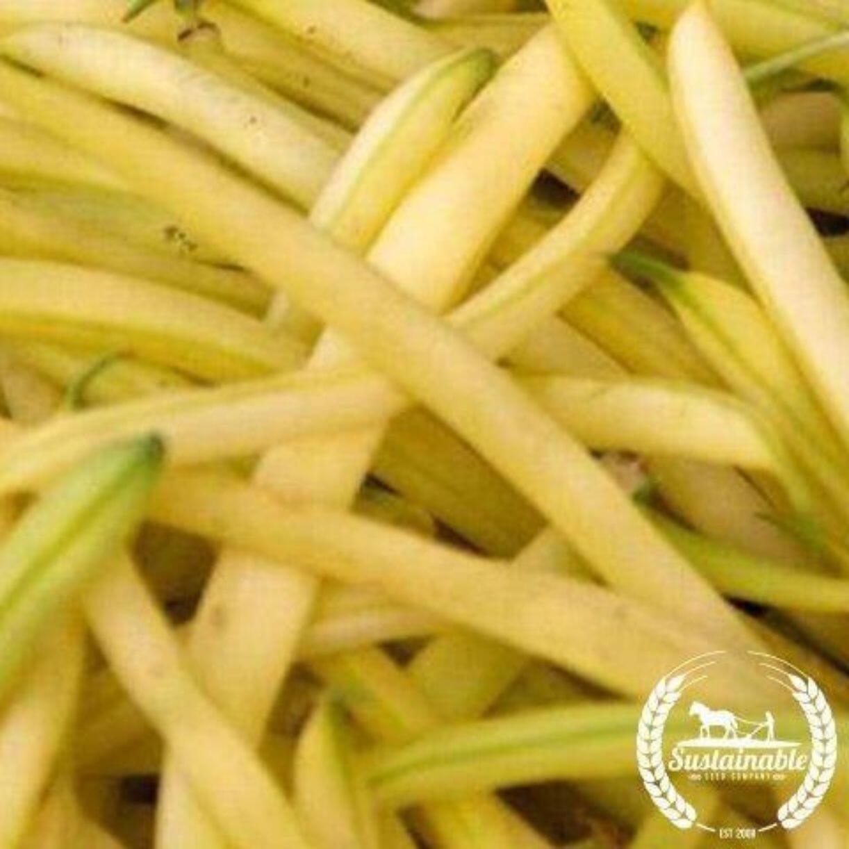Golden Wax Bean