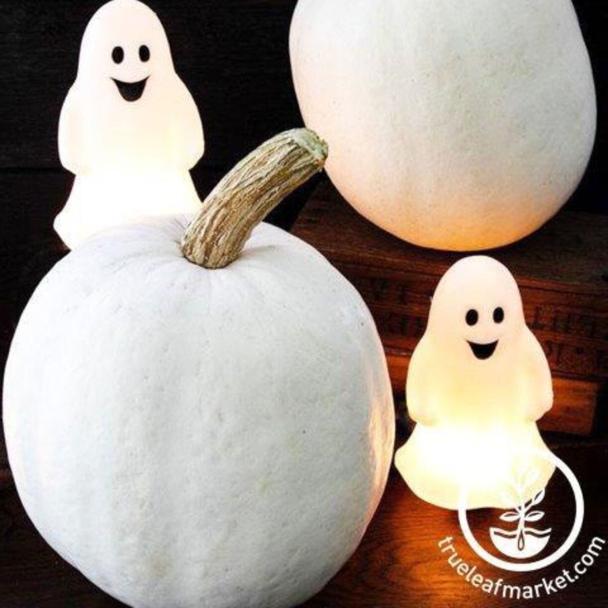 Casper Eggplant