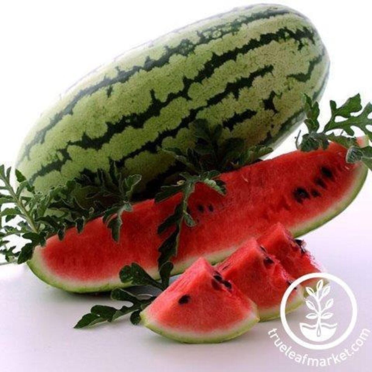 Georgia Rattlesnake Watermelon