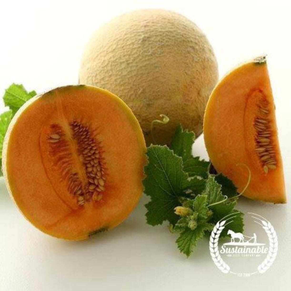 Hearts Of Gold Melon