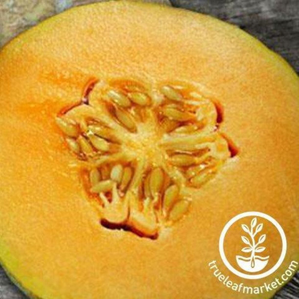Delicious 51 Melon