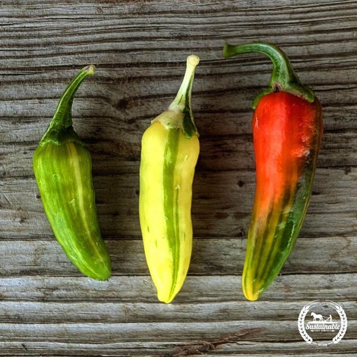 Fish Pepper