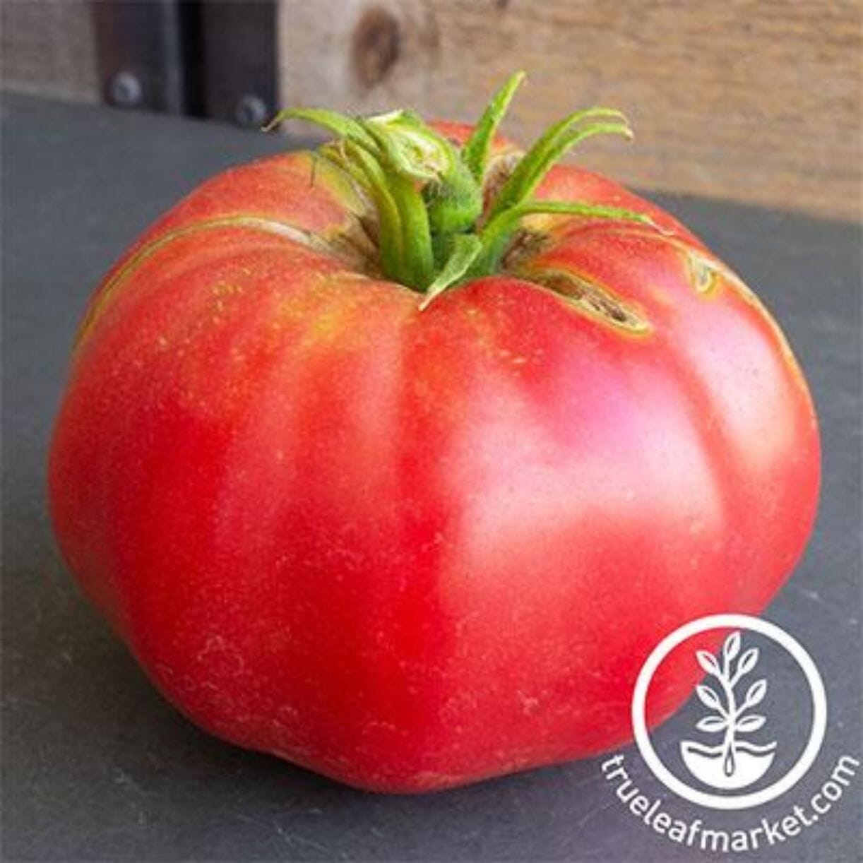 Brandywine Pink Tomato