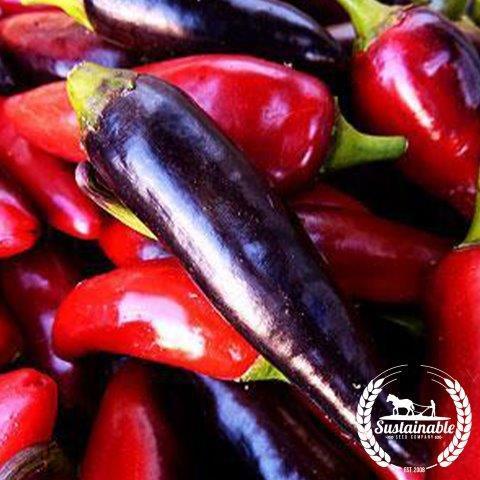 Black Hungarian Pepper