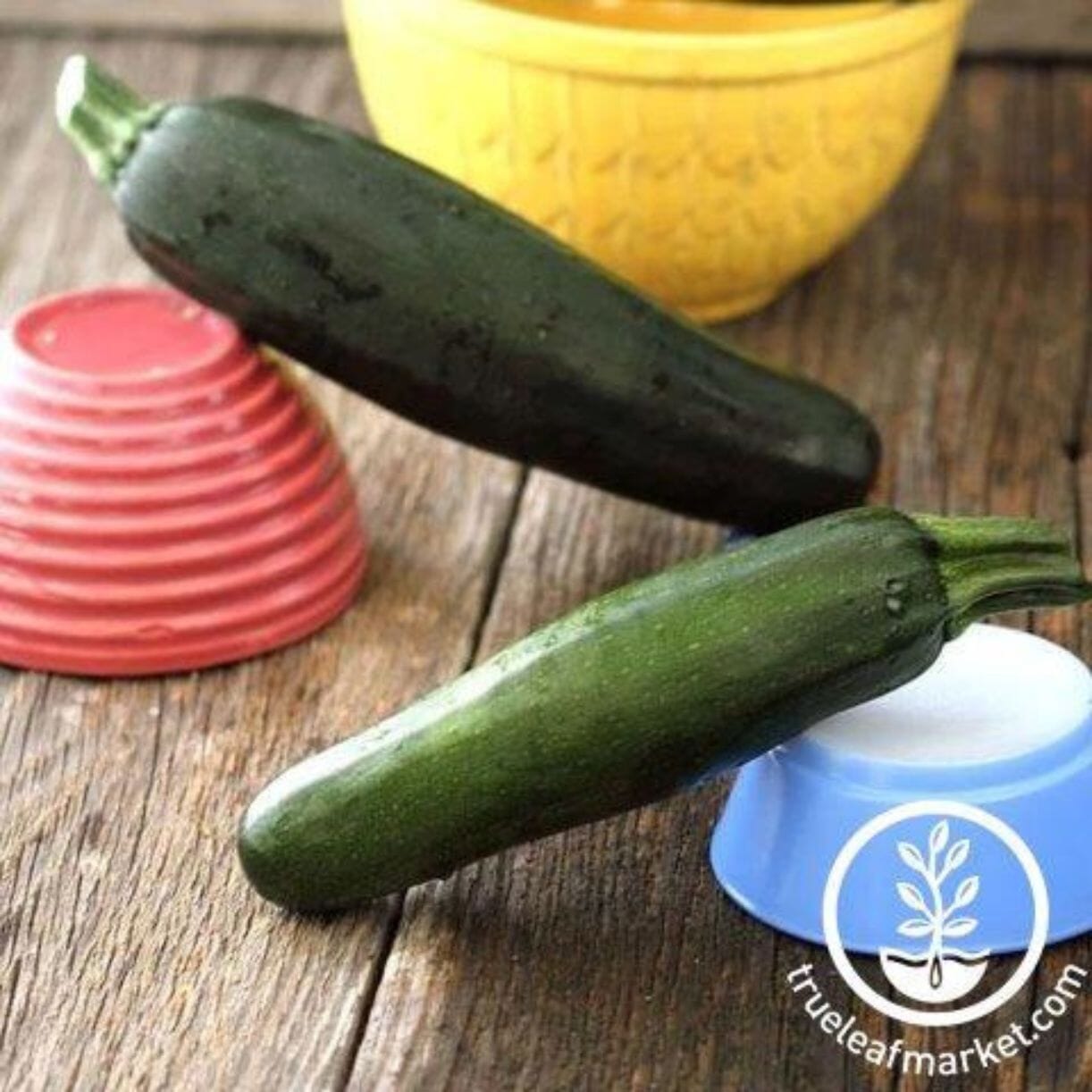 Dark Green Zucchini