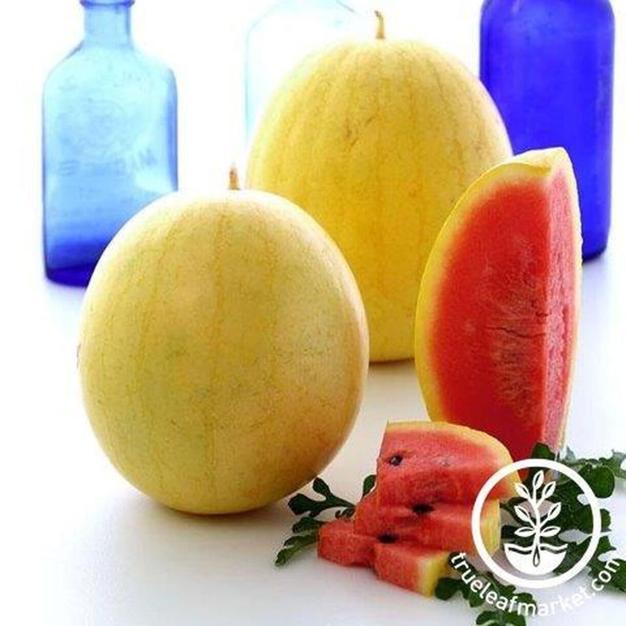 Golden Midget Watermelon