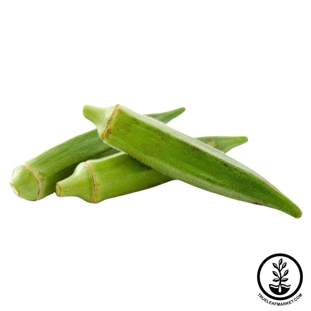 Emerald Okra