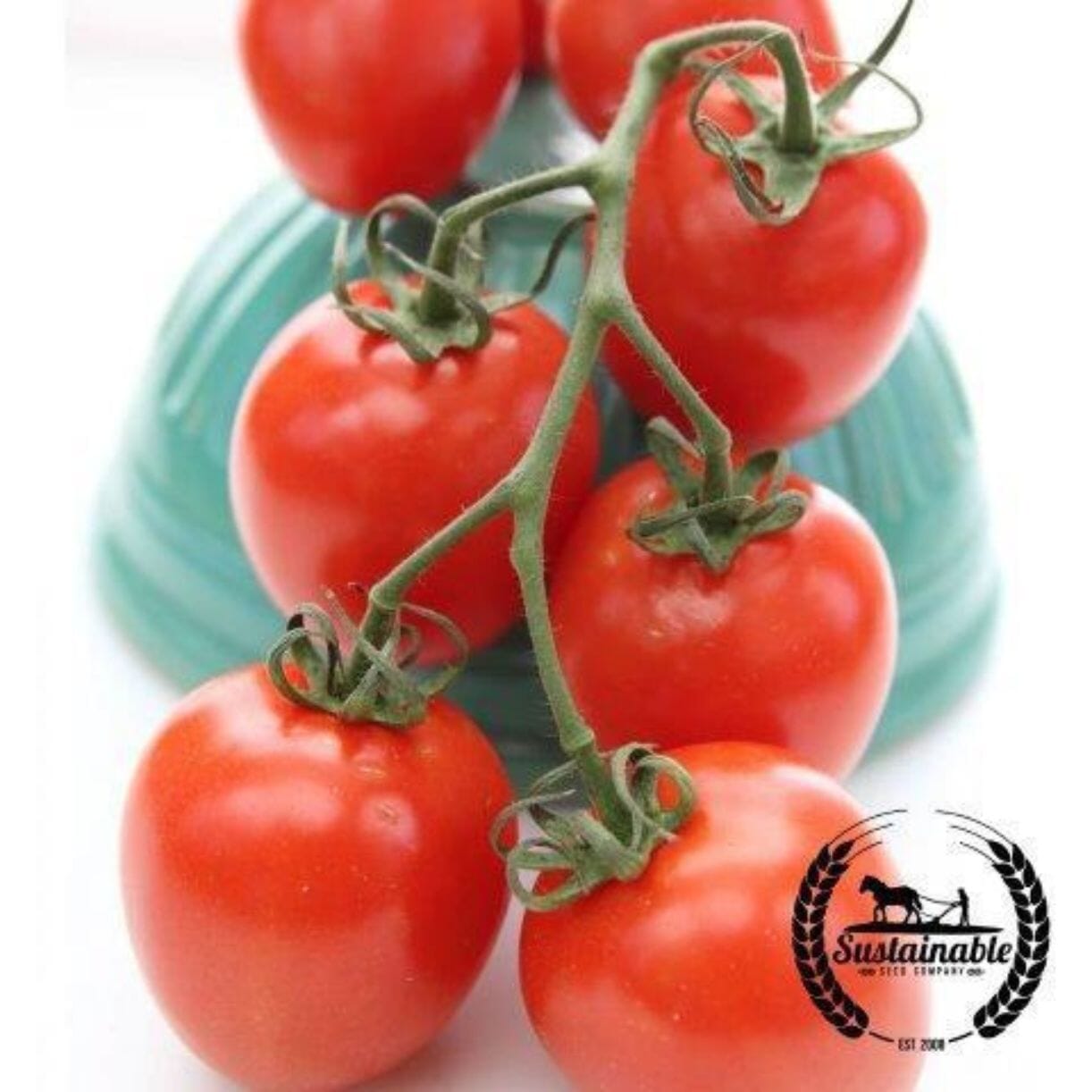 Roma Tomato