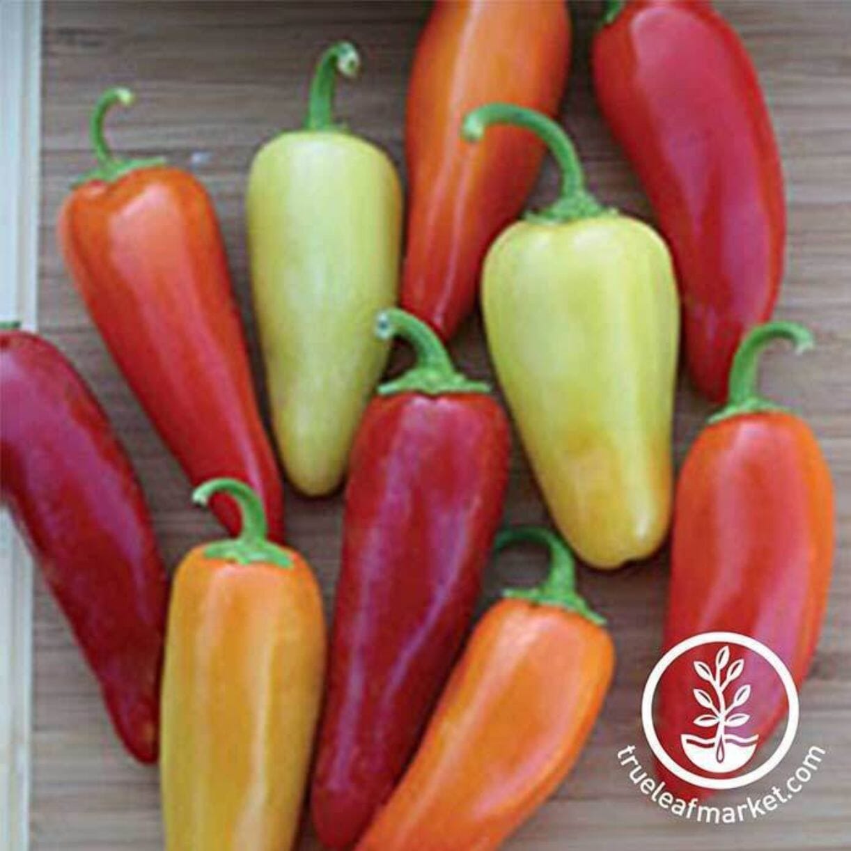 Santa Fe Grande Pepper