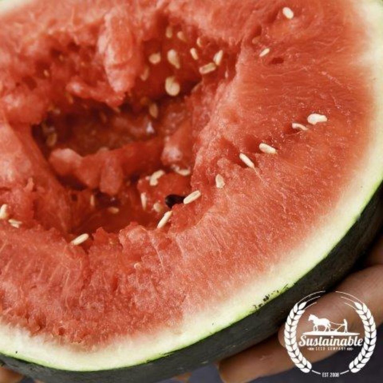Sugar Baby Watermelon