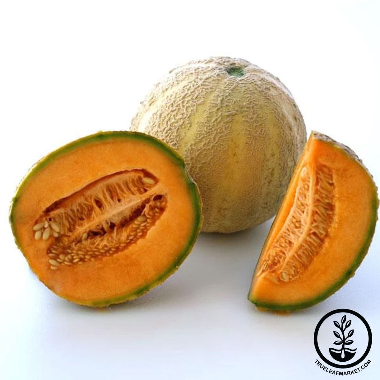 Honey Rock Melon