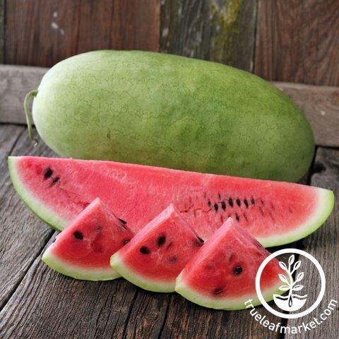 Charleston Grey Watermelon