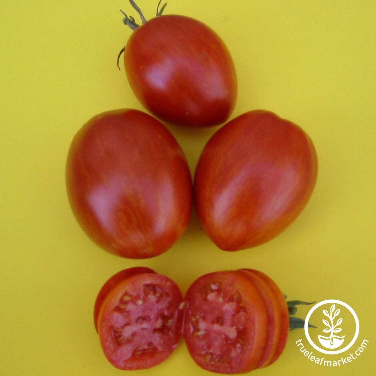 Red Zebra Tomato
