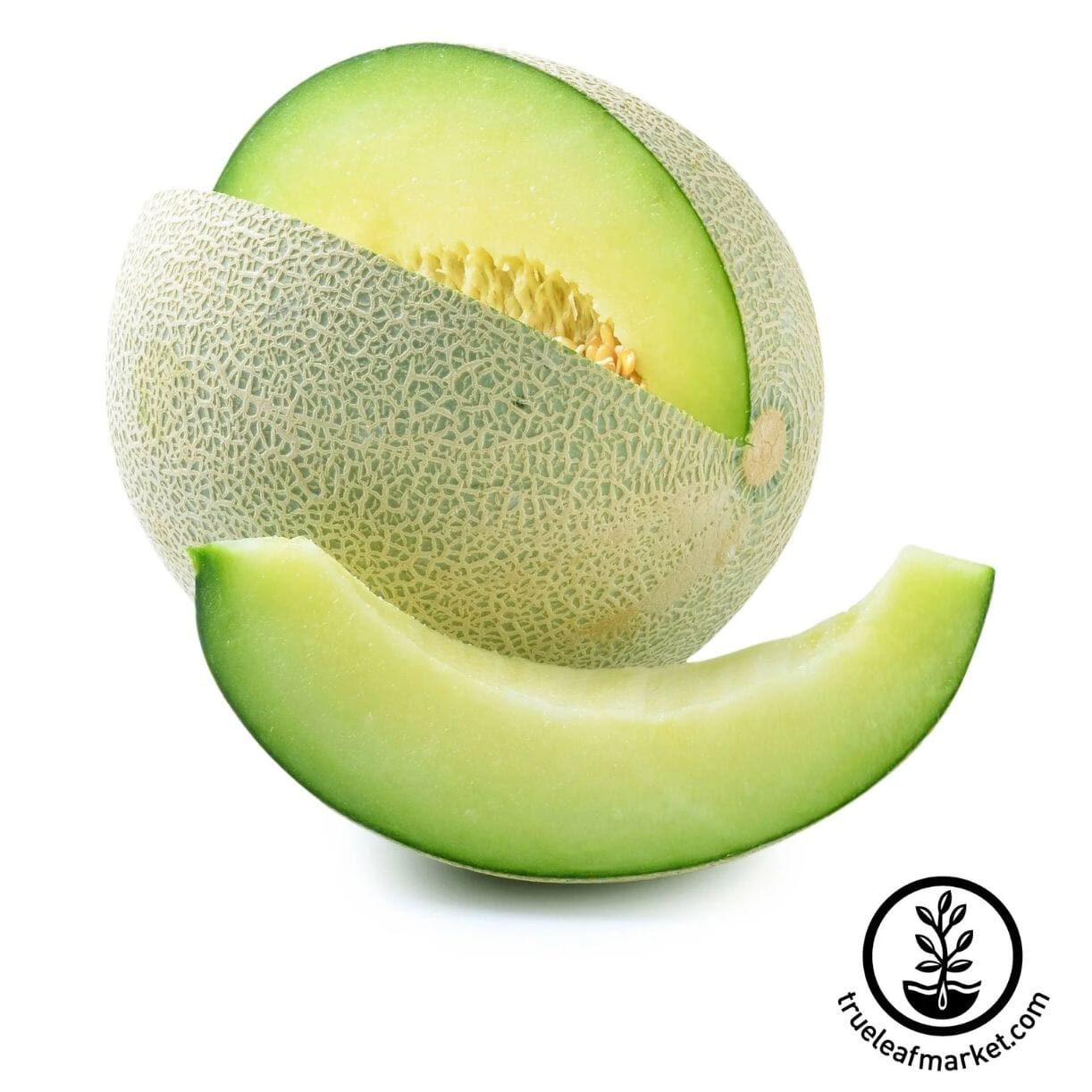 Rocky Ford Green Flesh Melon