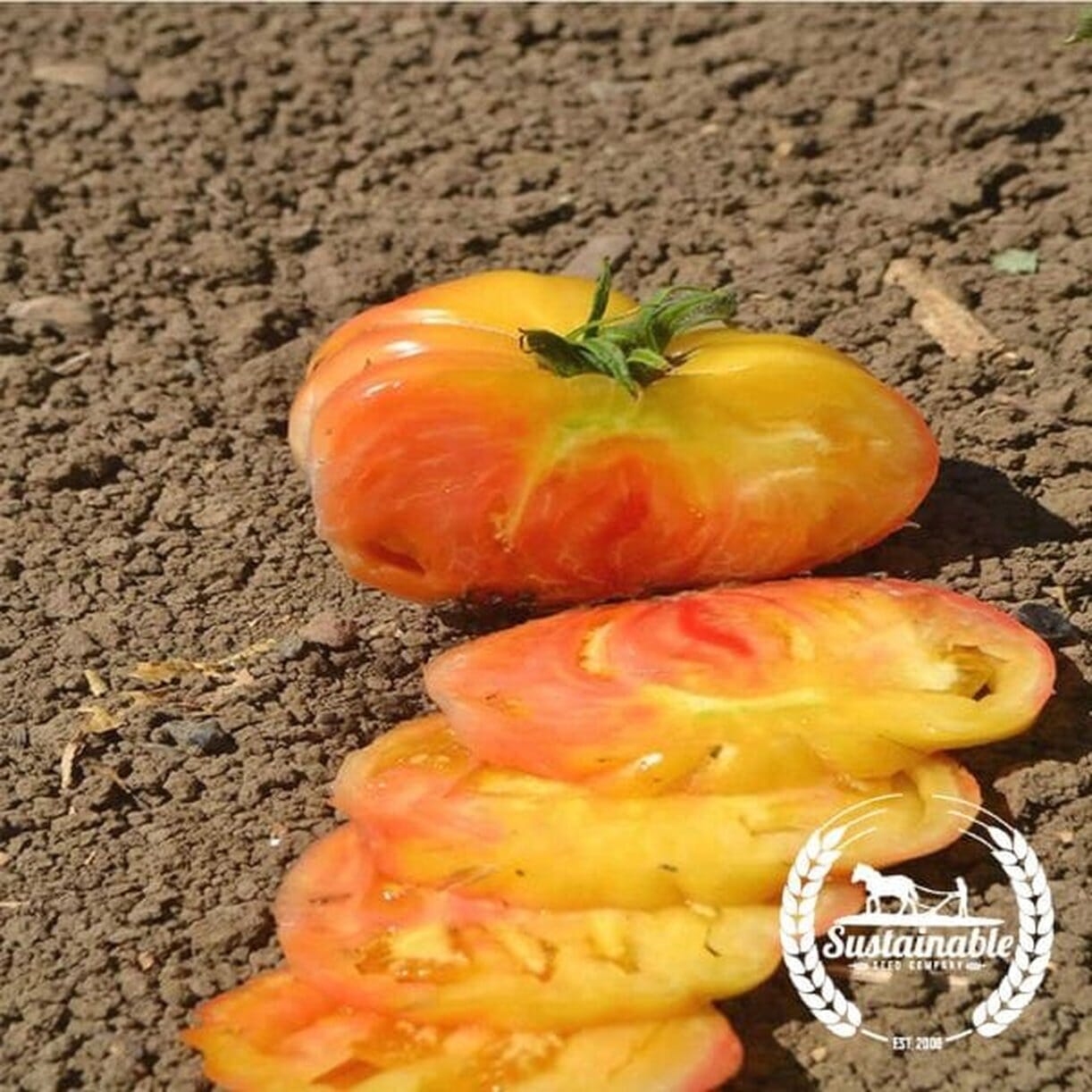 Hillbilly Tomato
