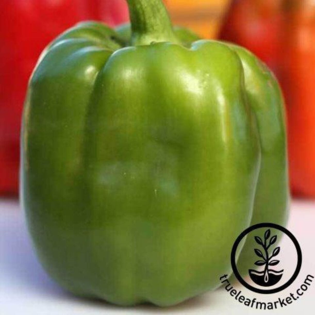 Emerald Giant Pepper